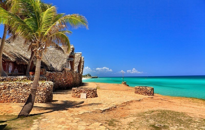 Kabinetsreactie Op Paradise Papers