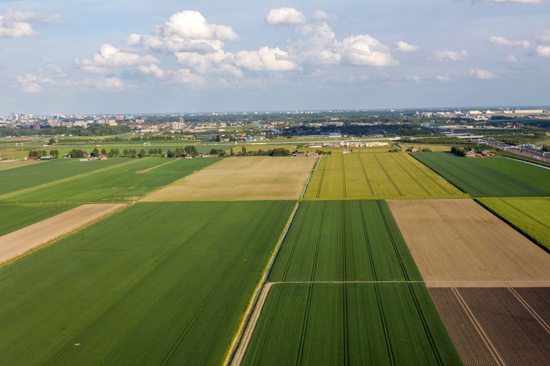 Regelgeving Scheuren Grasland